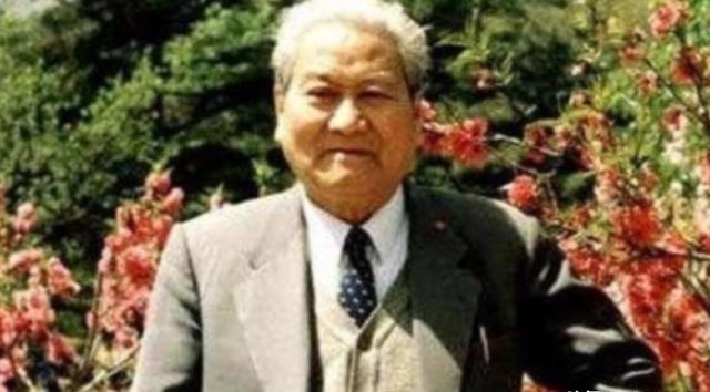 三峡大坝动工之际，清华教授黄万里曾拼死阻拦却未被采纳，数十年光阴流逝，他昔日担忧