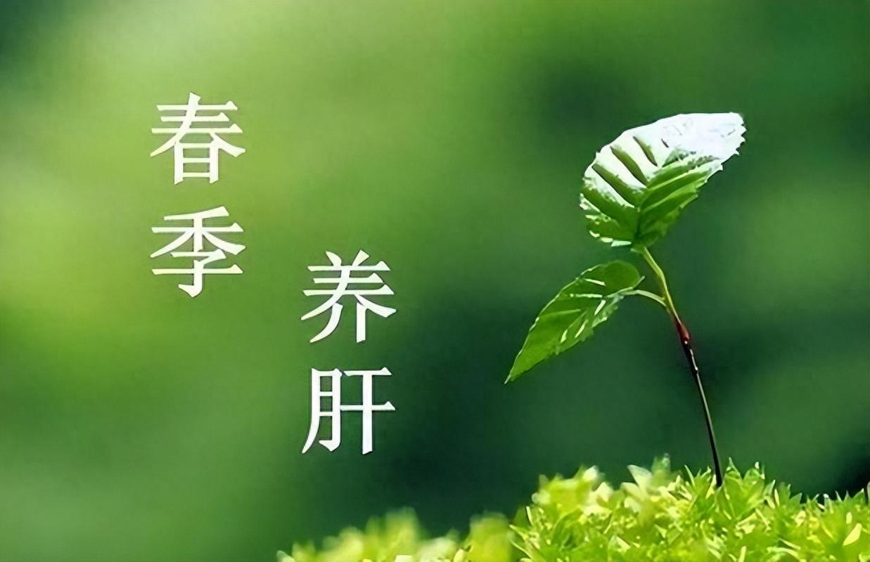 中老年人养肝别瞎练！这几类运动才是真正的“护肝神器”，坚持做比吃补药管用