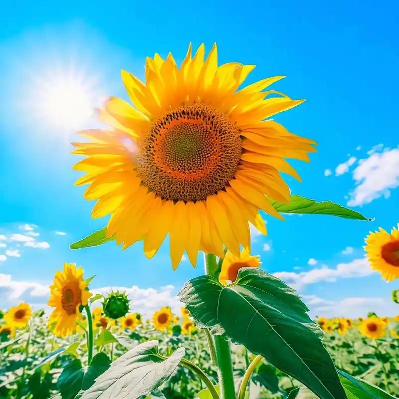 请你一定一而再再而三的相信好事即将发生！我们要坚信，凡事发生，皆有利于我！