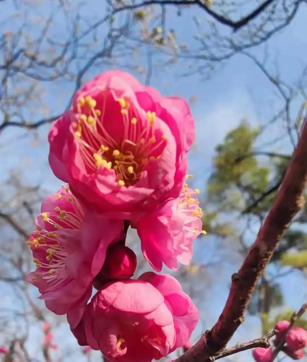 留好人生的底牌，再难也能翻身人这一辈子，再风光、再顺利，也要悄悄留好这几张