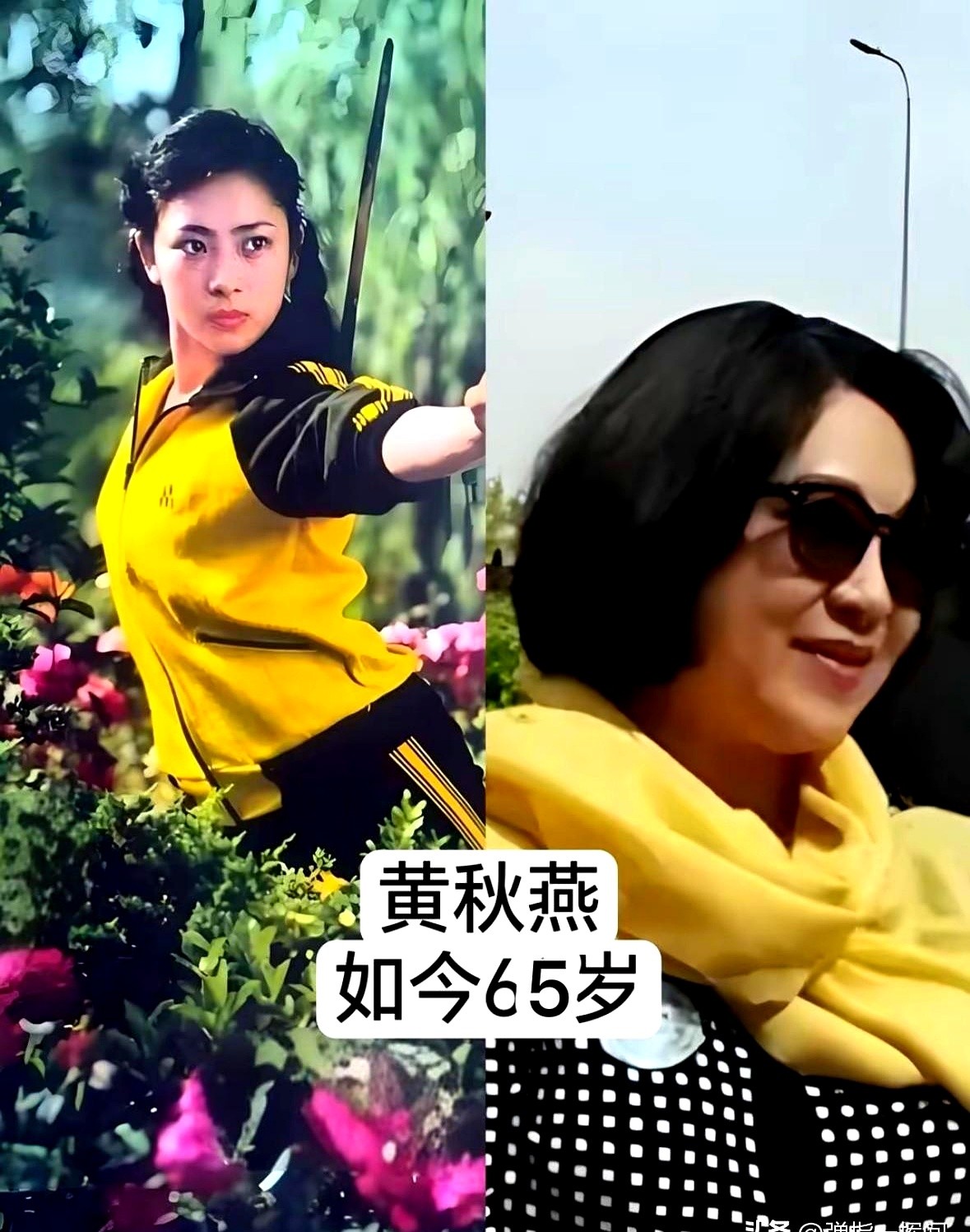 17个名字，全是不用特效硬摔出来的真功夫。盘点港片黄金年代，郑佩佩、萧芳芳开山，杨紫琼、惠英红挑大梁