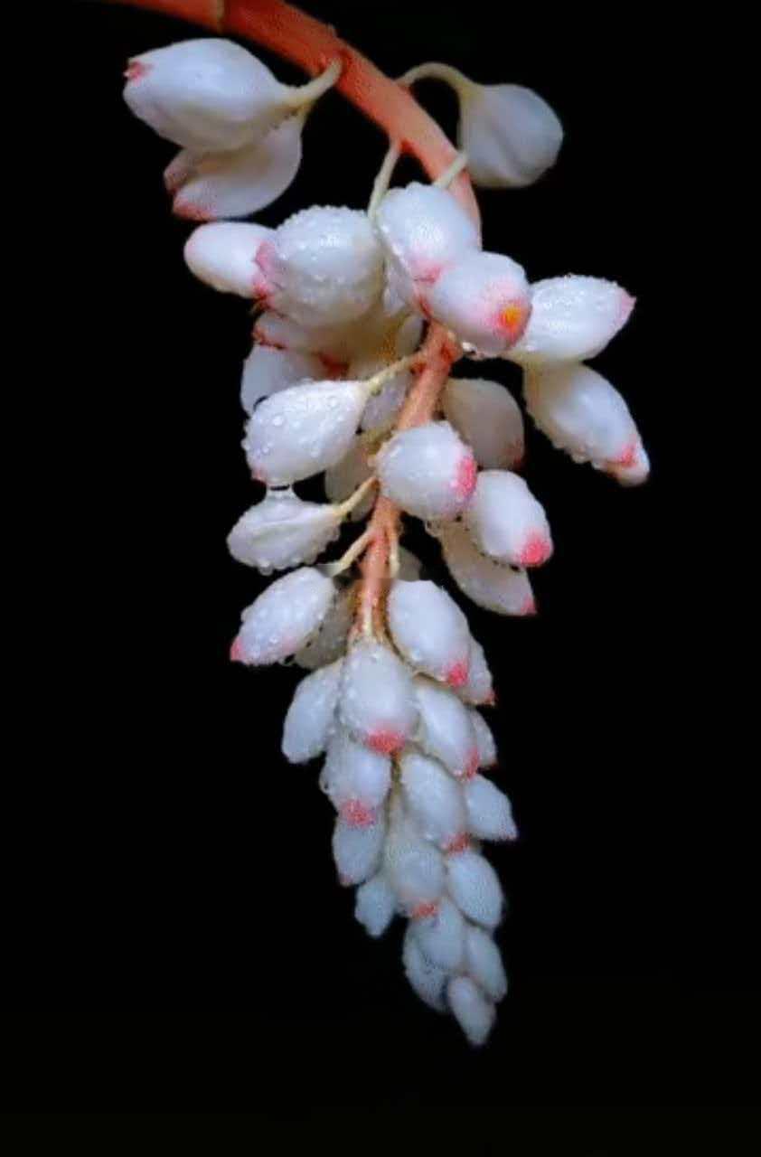 柳永一般被视为“老色批”，因为他专门给妓女写词。但是如果和杜牧一比，柳永交往的最