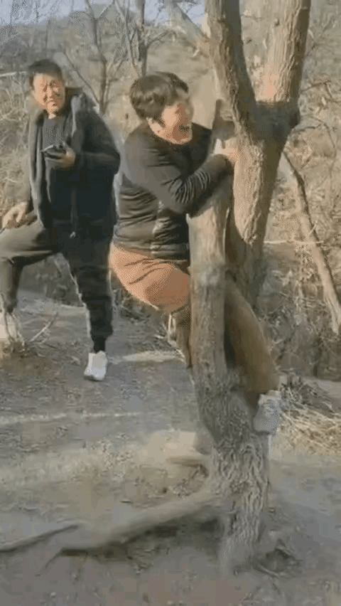 大妈真淘气，啥都好奇想试试，这不卡住了，大爷们快帮忙，大妈出不来了。