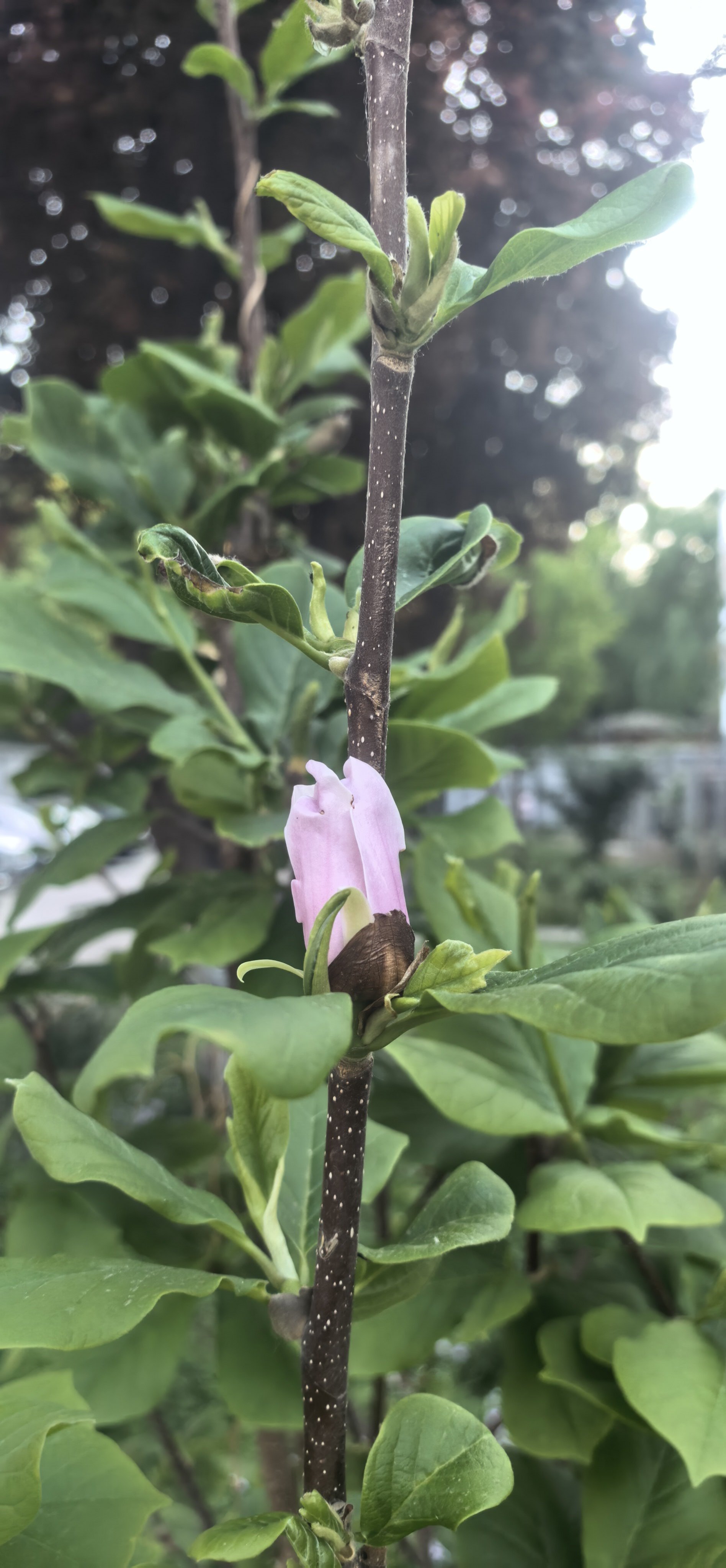 好消息！航天【我国新发现13个亿吨级油田、26个千亿立方米气田】4月29日从自