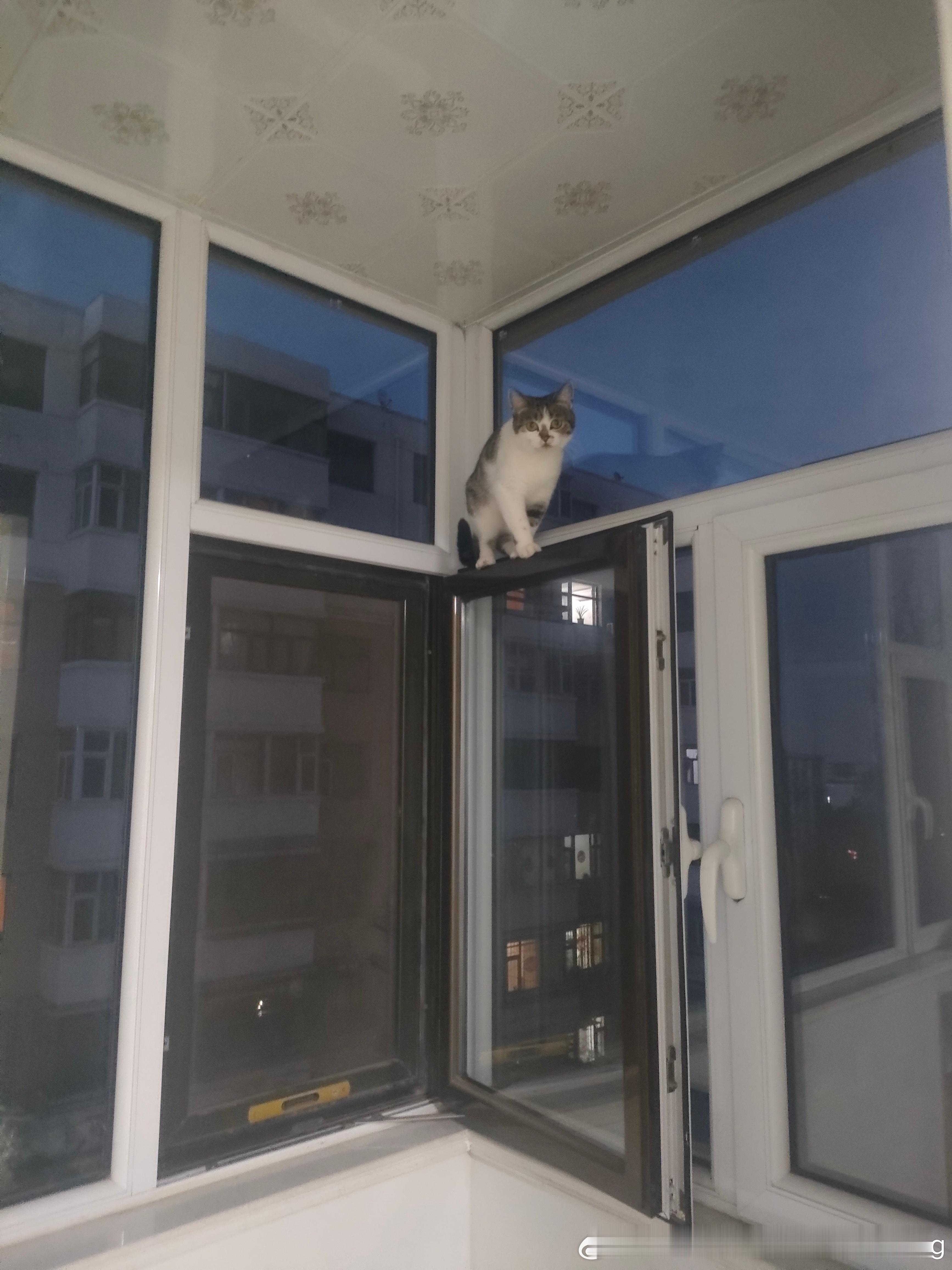 淘气的呀！​​​