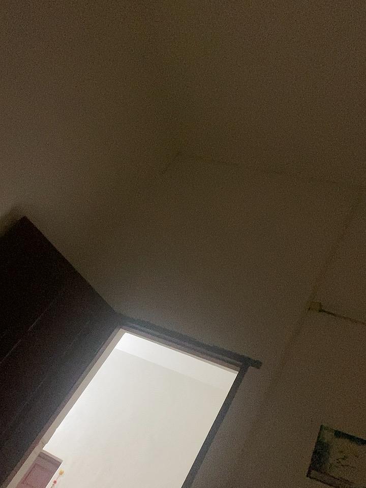 都发霉了要丢掉了