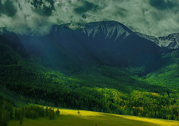 新疆白哈巴村，这里的秋天美得像油画。​​​​