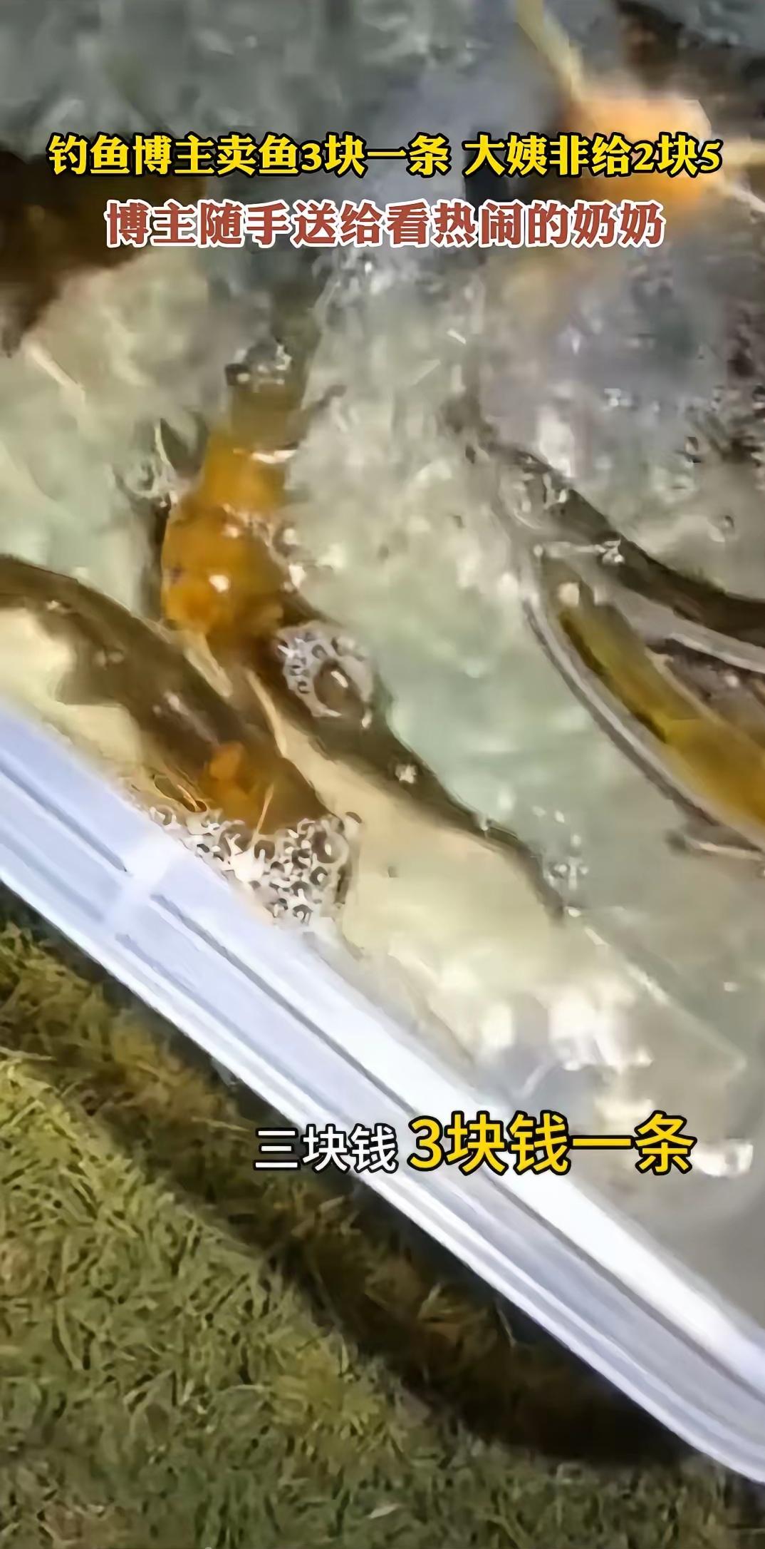 阿姨终究还是为那0.5元后悔了！网友野钓收获颇丰，就决定将这些鱼卖掉，标价3元