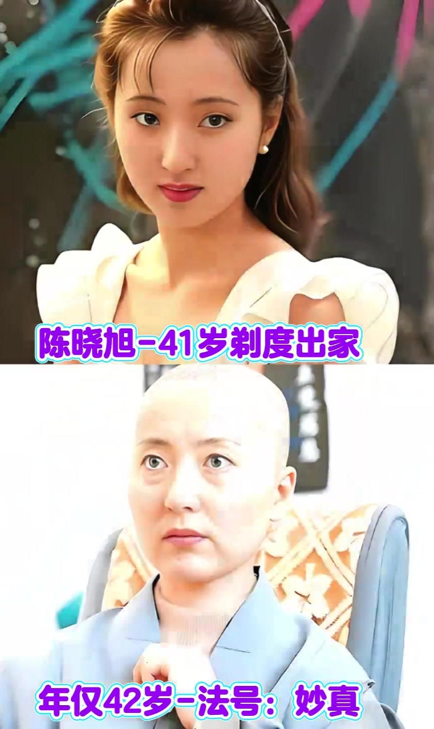 不走寻常路十大明星今昔对比