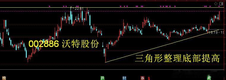 002886沃特股份——高性能功能高分子材料合成、改性和成品的研发、生产制造、