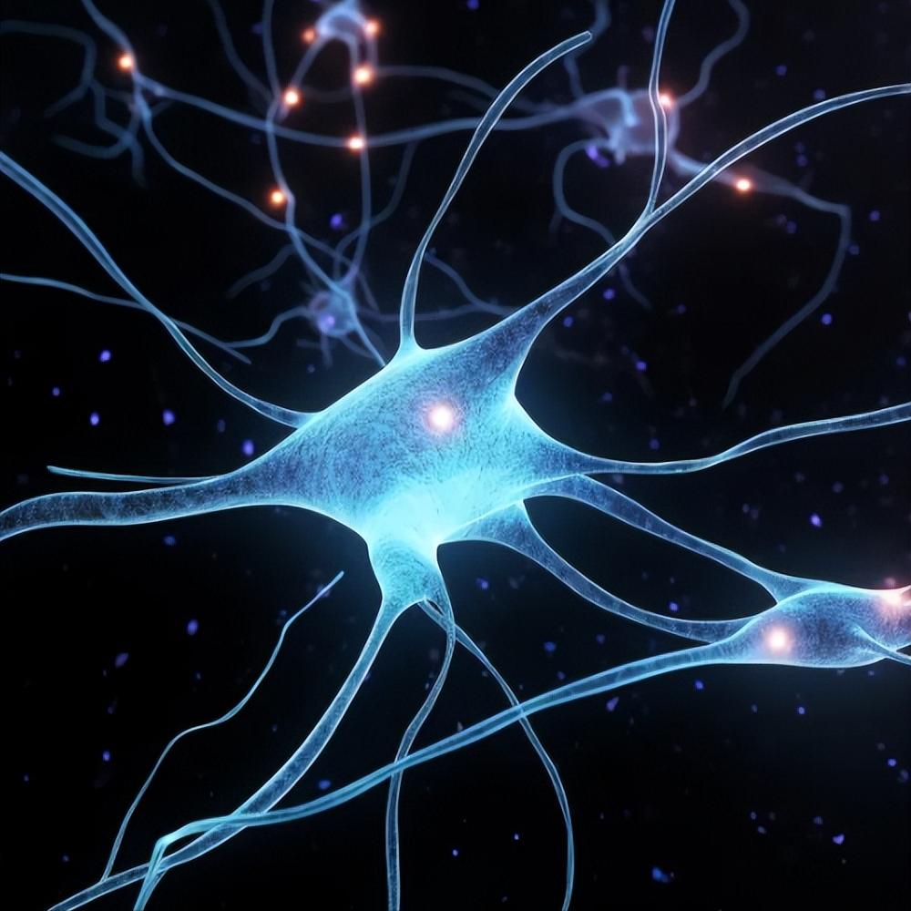 神经恢复慢=没希望了？真相可能和你想的不一样！“我的神经恢复这么慢，是不是没救