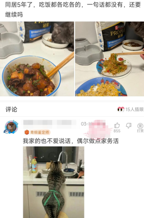还要继续吗？