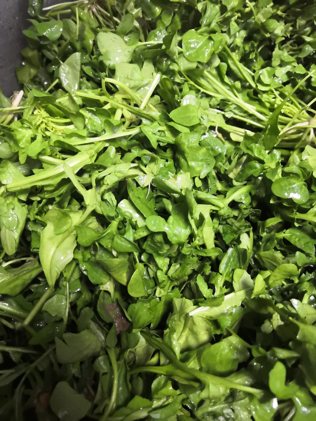 早晨和老公一起去菜场，菜场不是很远，就一起走路过去，既锻炼身体，也溜达了一圈，一