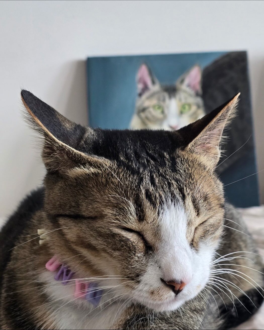 Viper选手更新动态: 感谢大家一直以来给予我的关注与喜爱