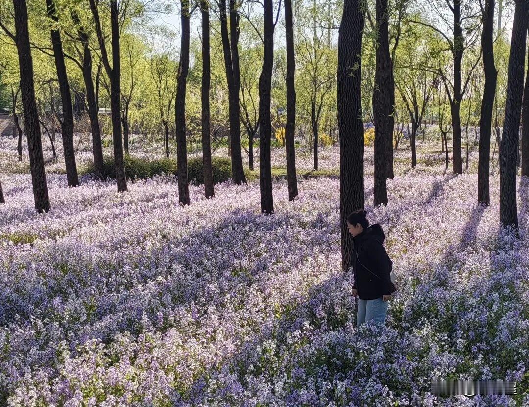 这张照片有三个很明显的缺点，你能看得出来吗？欢迎把答案写在评论区里，让喜欢拍照