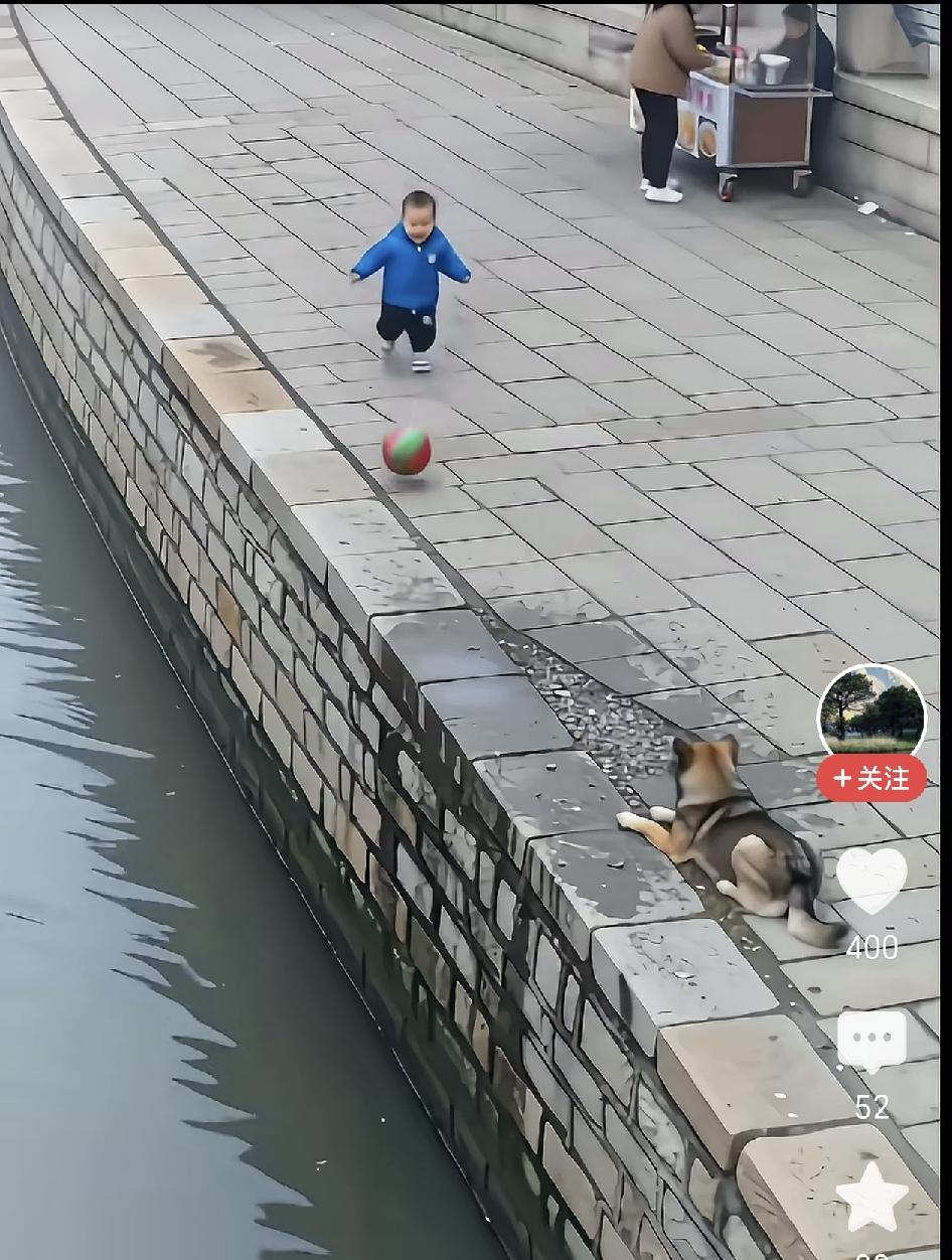 狗嘴下救回一条命！女童追皮球冲进水塘，下一秒被流浪狗死咬衣服拖回，监控拍下惊魂1