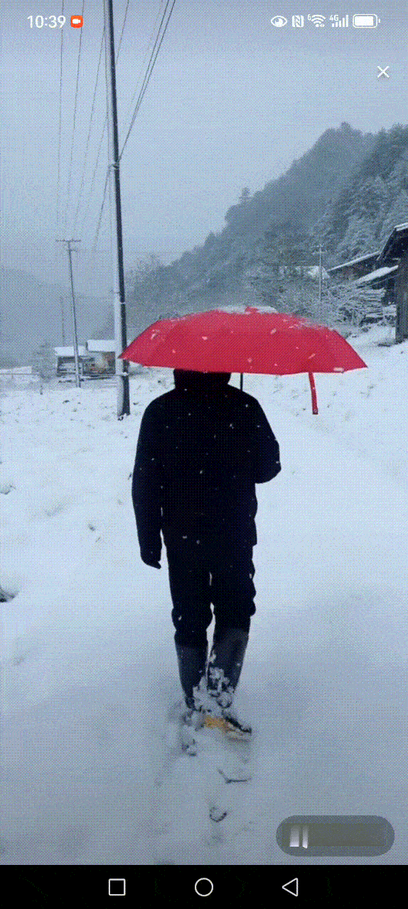 一觉醒来，打开视频才发现：重庆竟然已经进入了真正的冬天，下雪了！是的，今天看到很