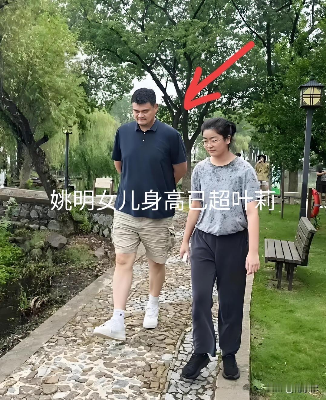 太牛！15岁身高近2米，姚明女儿才几天不见，就成超巨人，而姚明却瘦了不少……