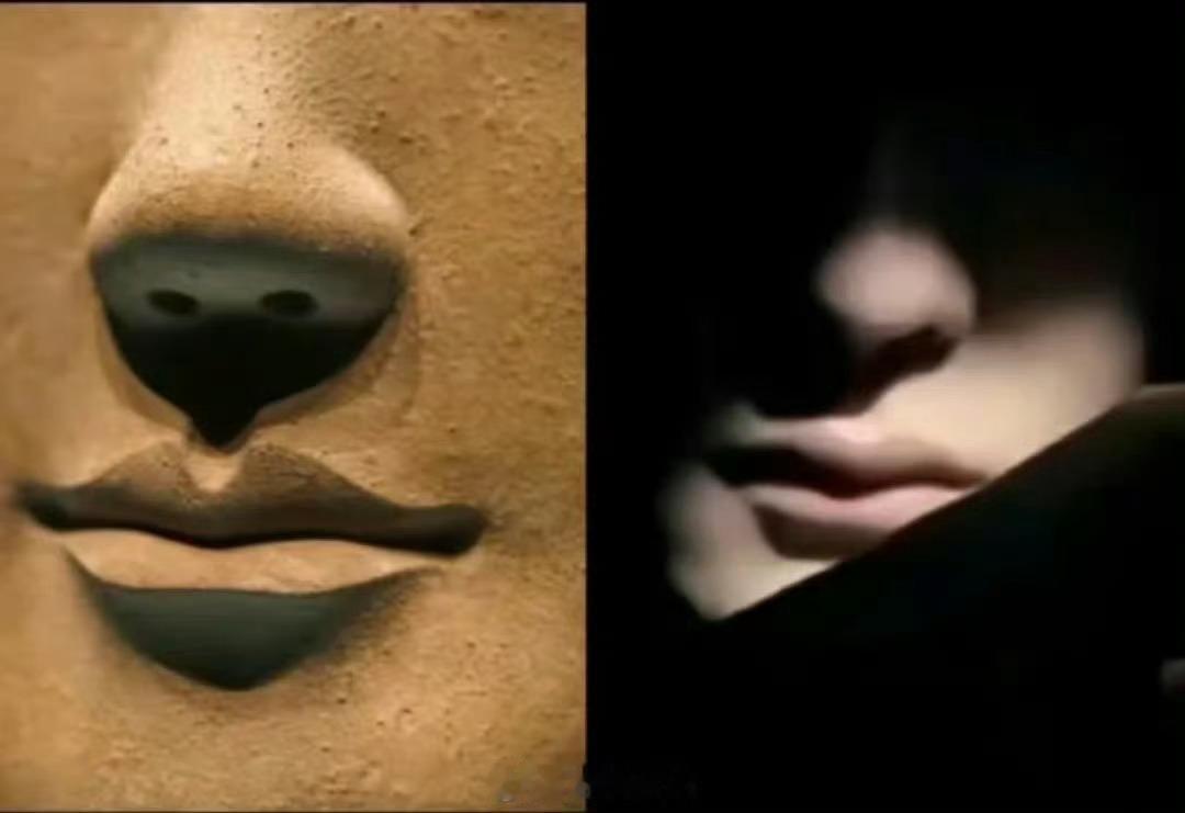 糟糕！！！已经到看见这张照片就默认是博子的程度了！