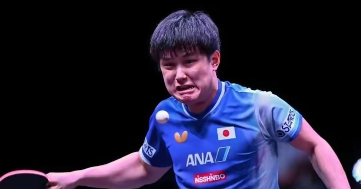 张本智和蛮可怜的。世界上大概没有一个乒乓球选手比张本智和更可怜的了，因为他输了球