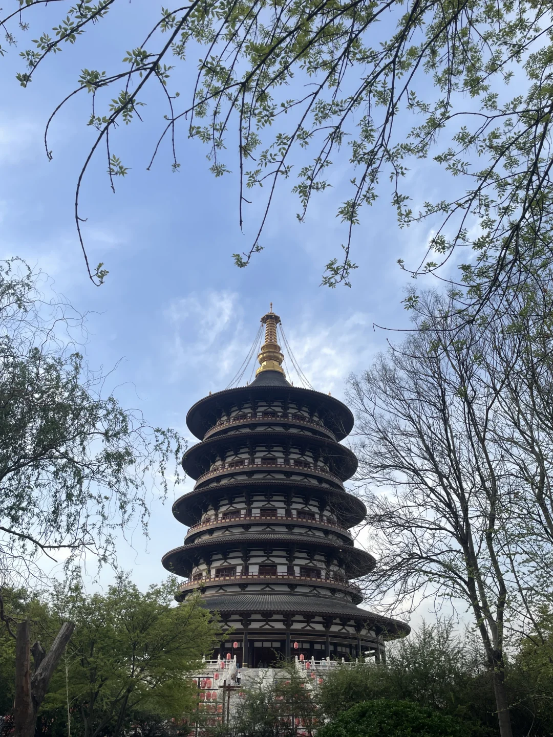 洛阳：风起洛阳城，神都入梦来 🌸