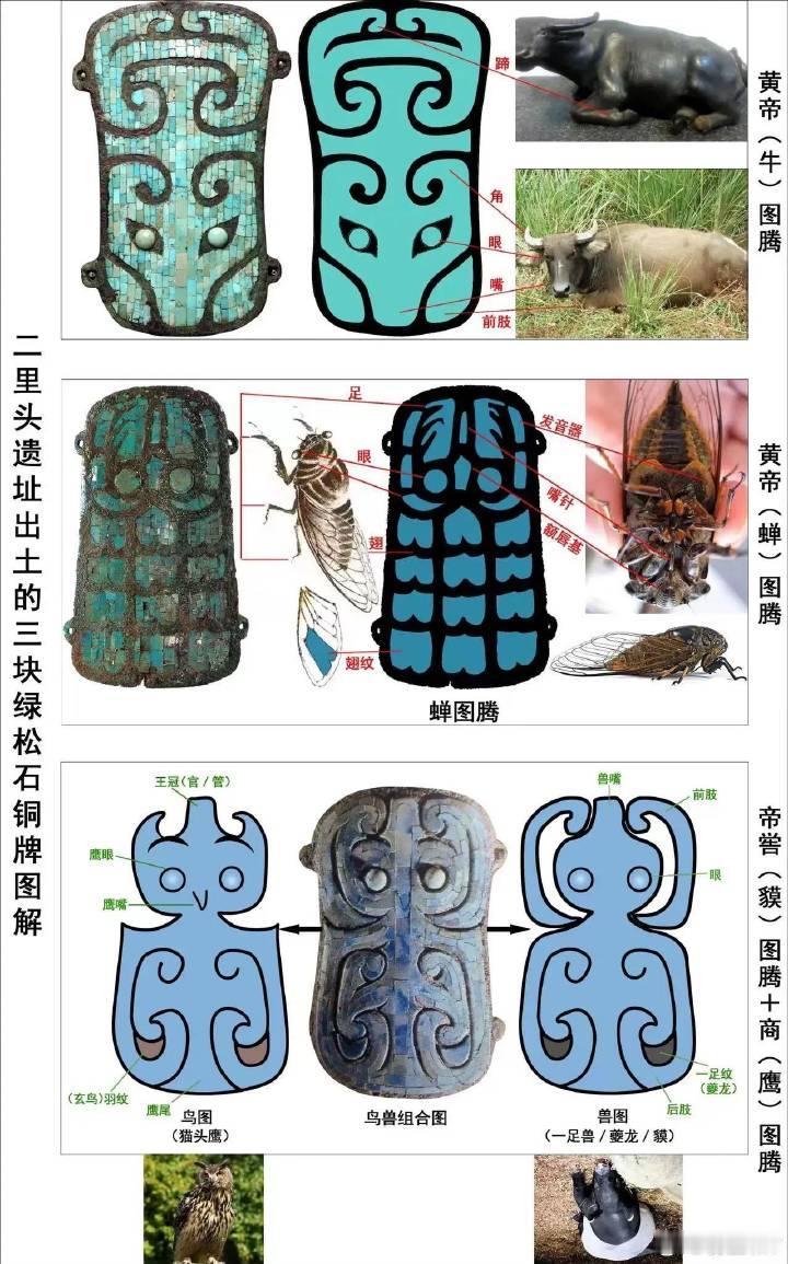 逐条反驳“二里头=夏”的10条证据翁卫和围绕二里头遗址，逐条拆解主流逻辑：