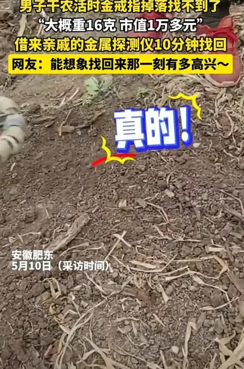 真聪明呀！5月10日，安徽合肥一名男子去地里干活时，不慎把手上的金戒指弄丢了，因