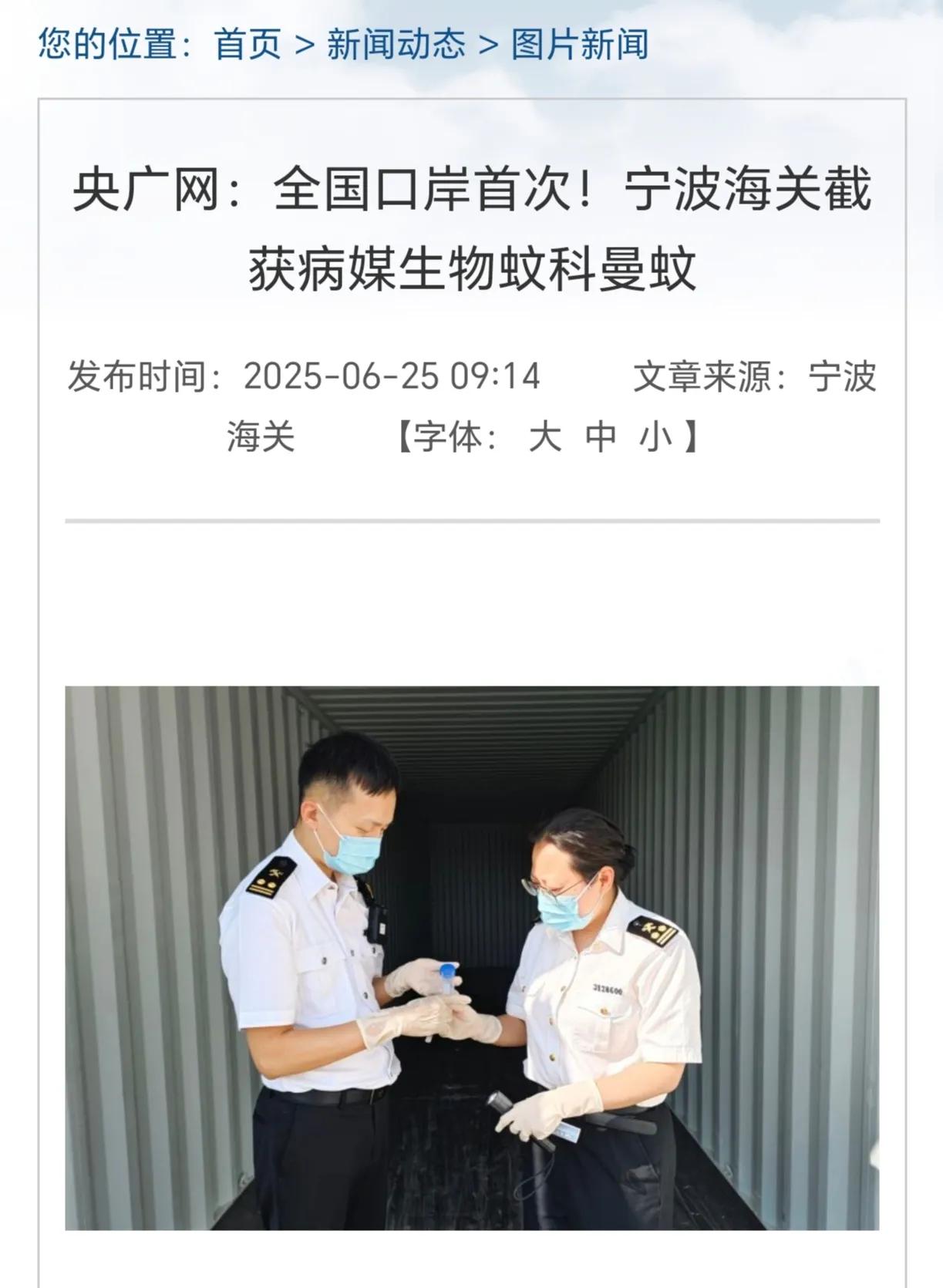又是美国人！宁波海关截获"黄金毒蚊"，携致命病毒，致死率高达30%！2025年6
