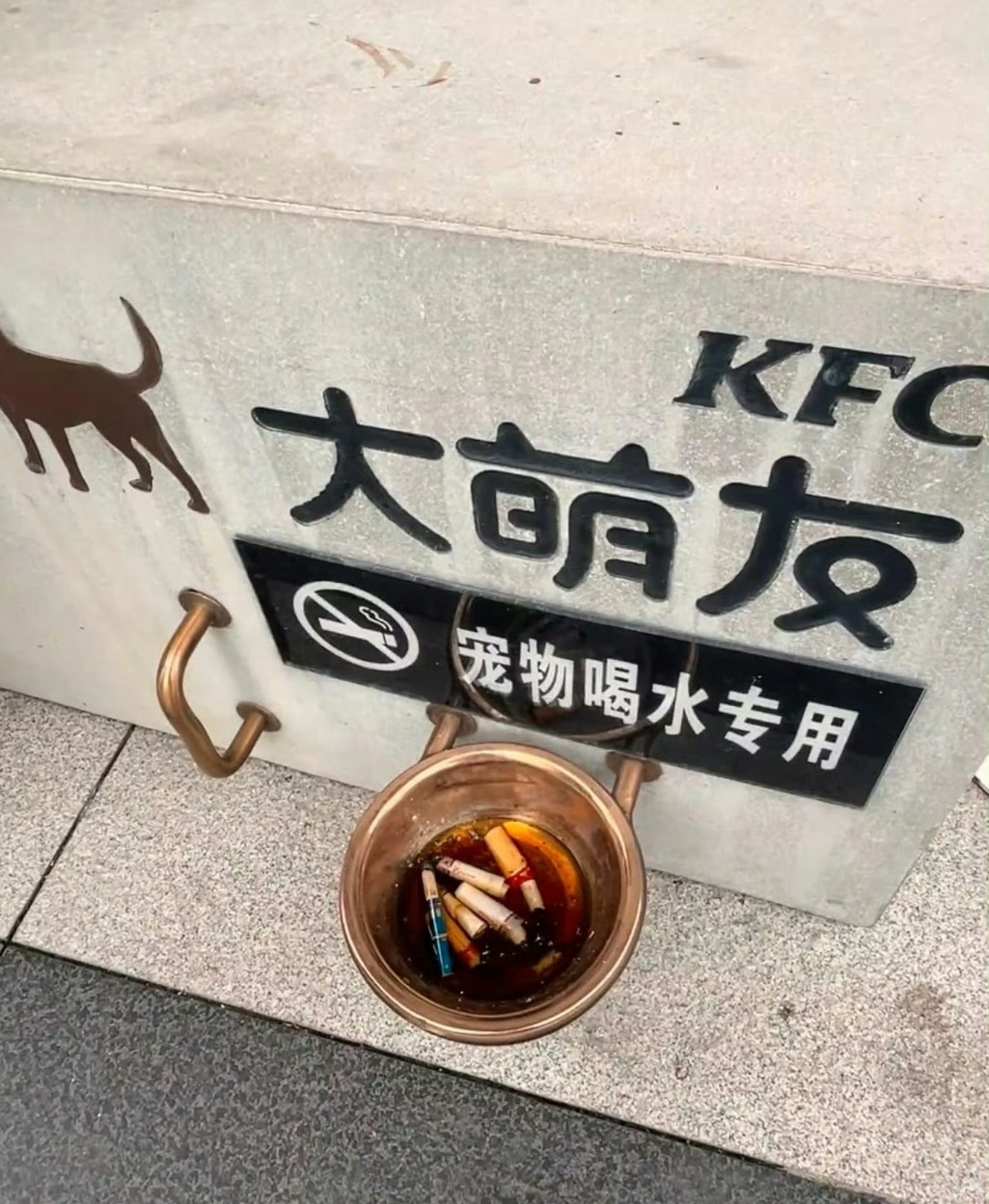 小狗喝水的盆怎么变成烟灰缸了离谱！宠物饮水盆被迫上岗，临时客串公共烟灰缸商家好心