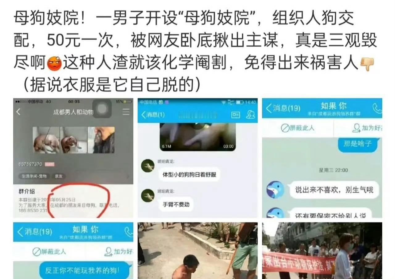 这还是人吗？我的眼睛受到了污染。