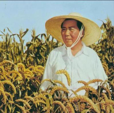1962年，邓子恢向毛主席提出支持“包产到户”的建议，毛主席说：“你怎么又动摇了