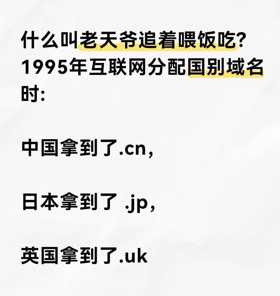 什么叫老天爷追着喂饭吃?1995年互联网分配国别域名时:中国拿到了.cn，