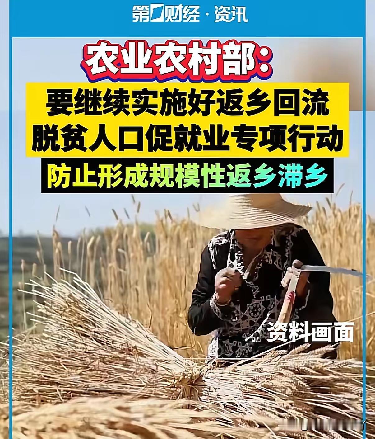 这个会议太及时了，继续实施好返乡回流。农业农村部召开会议商讨要严防形成规模性的返