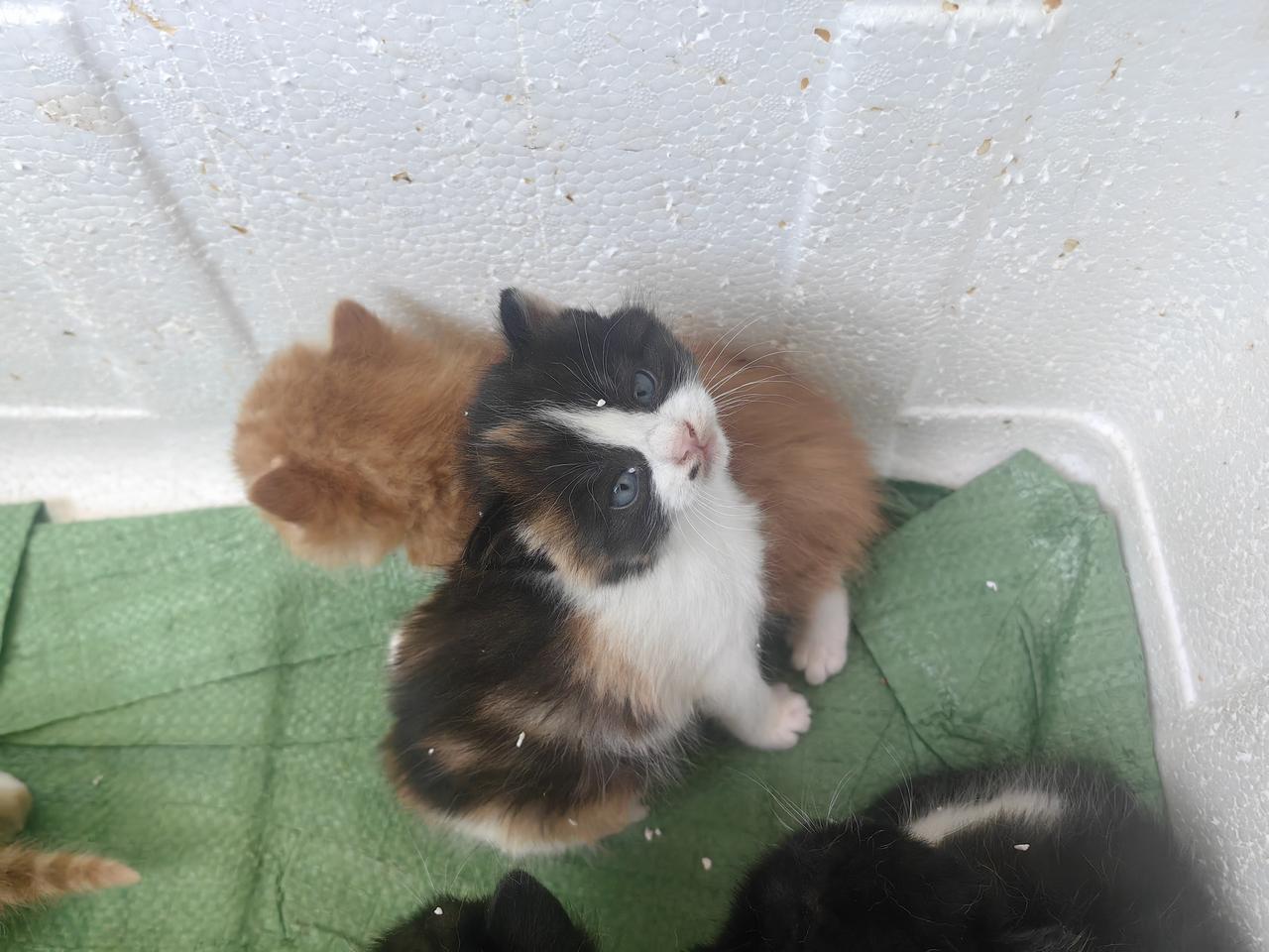 张雪峰这一席话，真是扎了无数家长的心窝：“不管孩子多不争气，多叛逆，多不靠