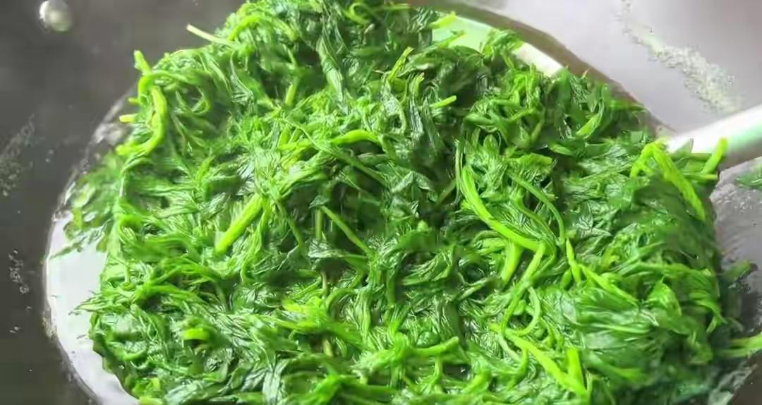 春天要多吃这草，一周3次，祛湿通络、平肝降火，遇到千万别手软春天要多吃这草，