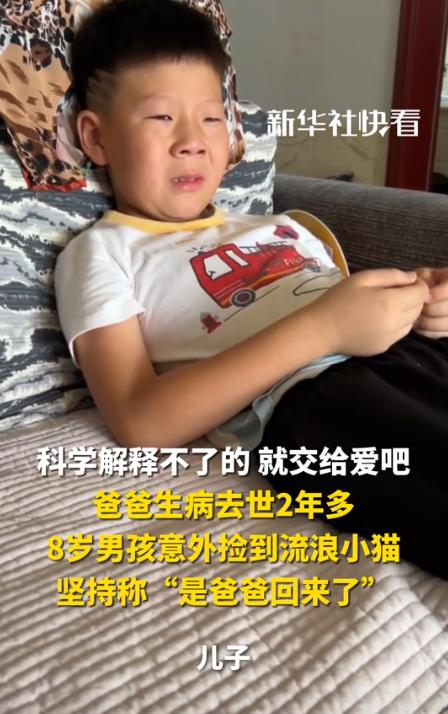 “解释不清了！”河南，爸爸生病去世，儿子晚上做梦，梦见爸爸变成一只猫！第二天，家