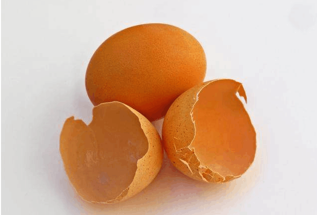 蛋壳有这作用? 它有你想不到的作用