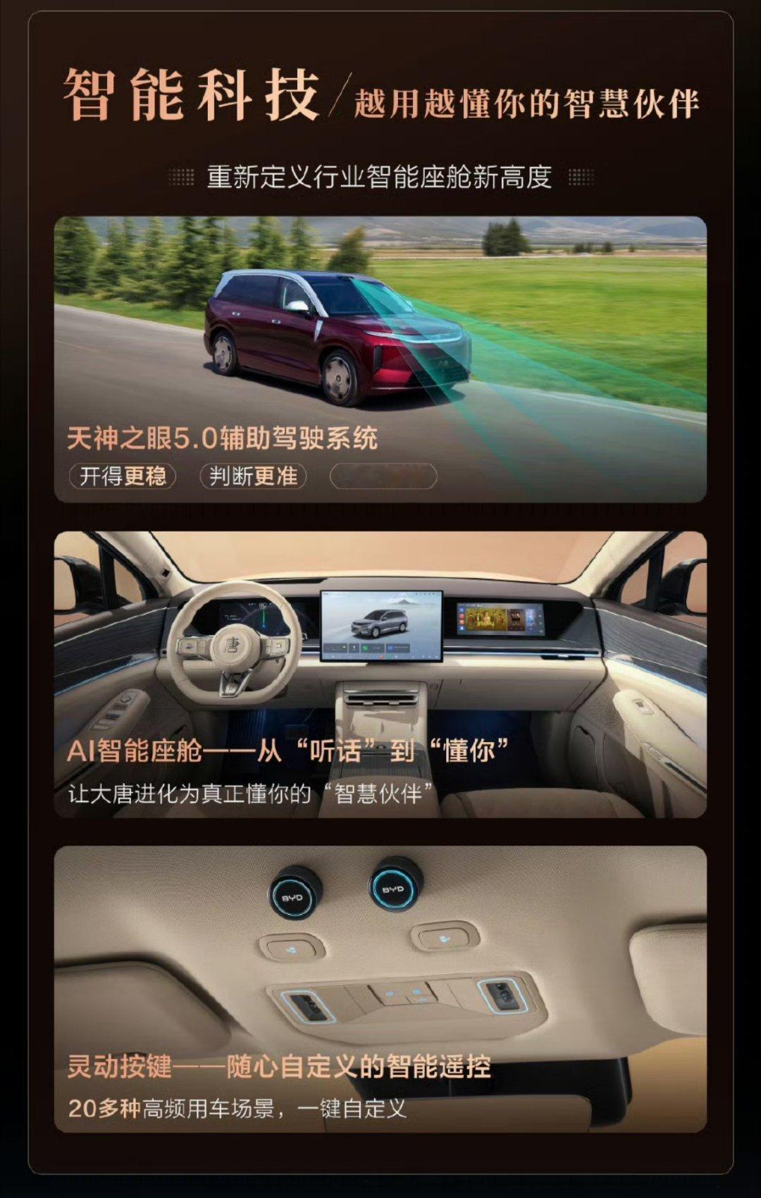 王朝网这个全尺寸的新成员大唐，预售价25-32万，是真的没有想到。这个价位的全尺