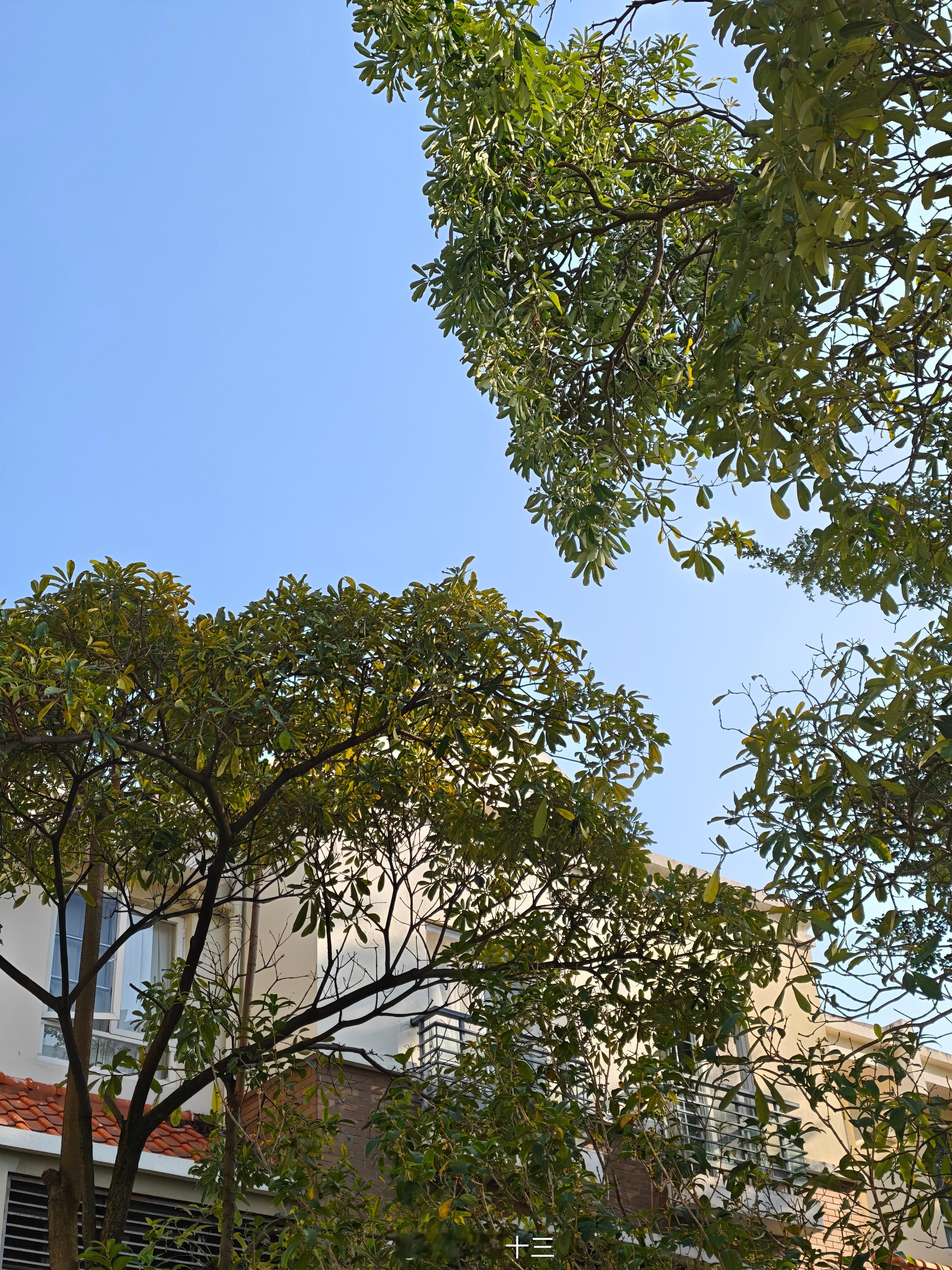 a股一个粉丝说他的自住房投进去的钱差不多100万了，还有负债230万，得到的只