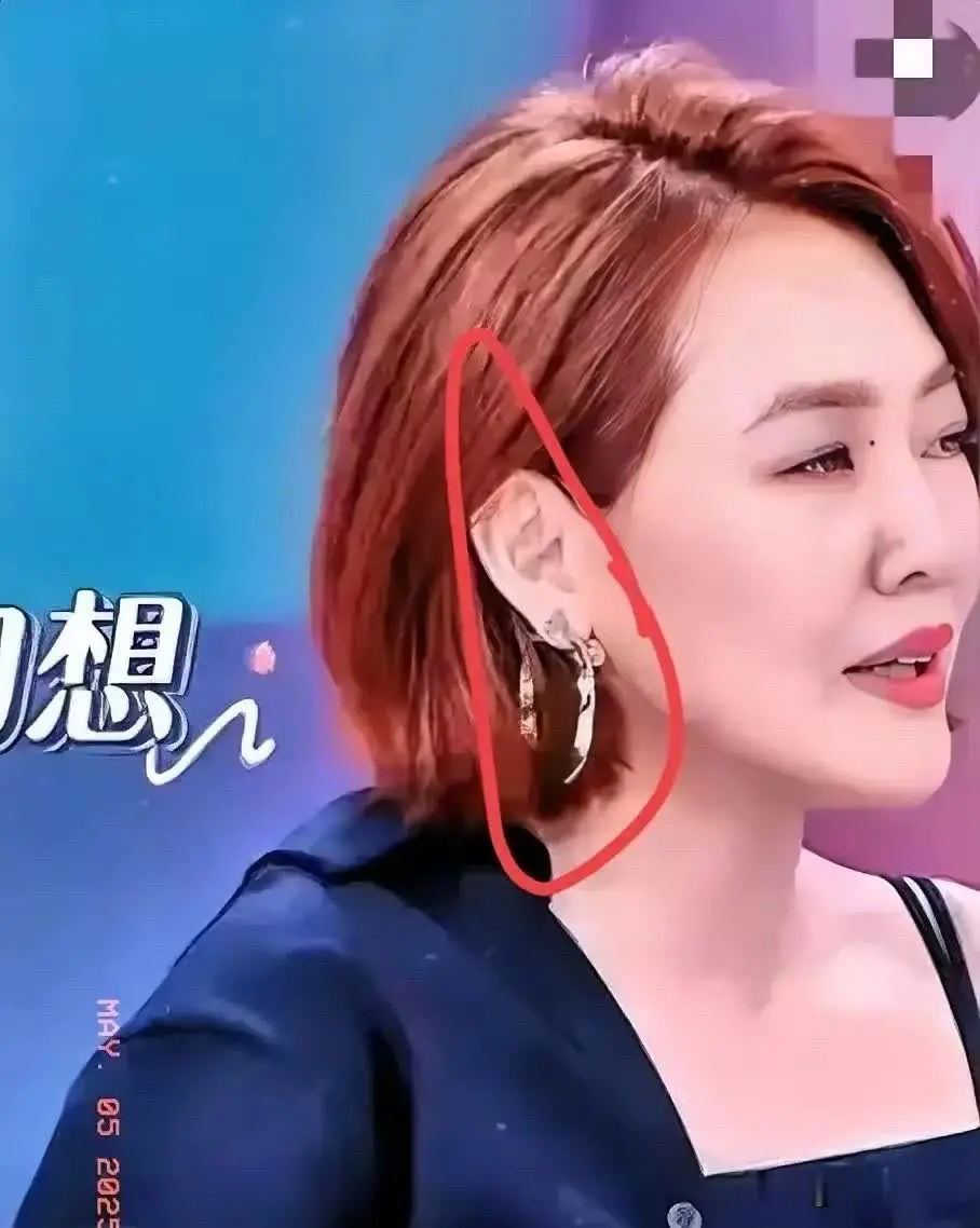 最近马筱梅出事，然后刷到几起小S戴大S遗物的图片。据说这是大S结婚时戴过的耳环