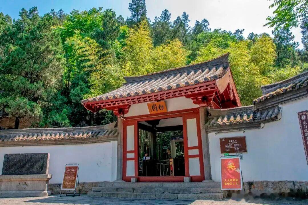 眼睛急需大片绿意治愈？来洛阳过几天满眼清凉的日子。峡谷湿润青苔、深山万亩林海、湖