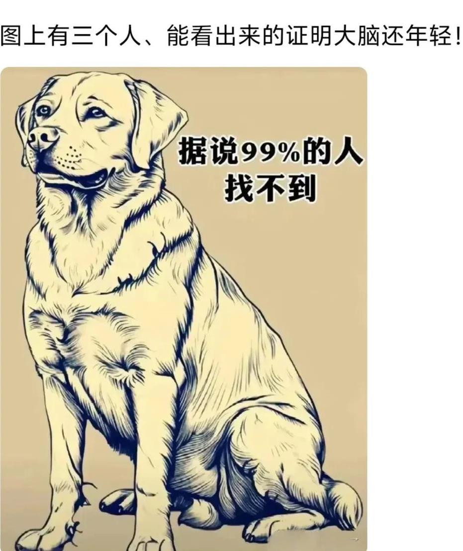 你能找到几个人头像？