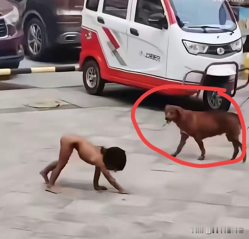 “一人一狗”这张图算不算最佳讽刺。图中两个主人翁一🐶子一男孩两个都是衣不