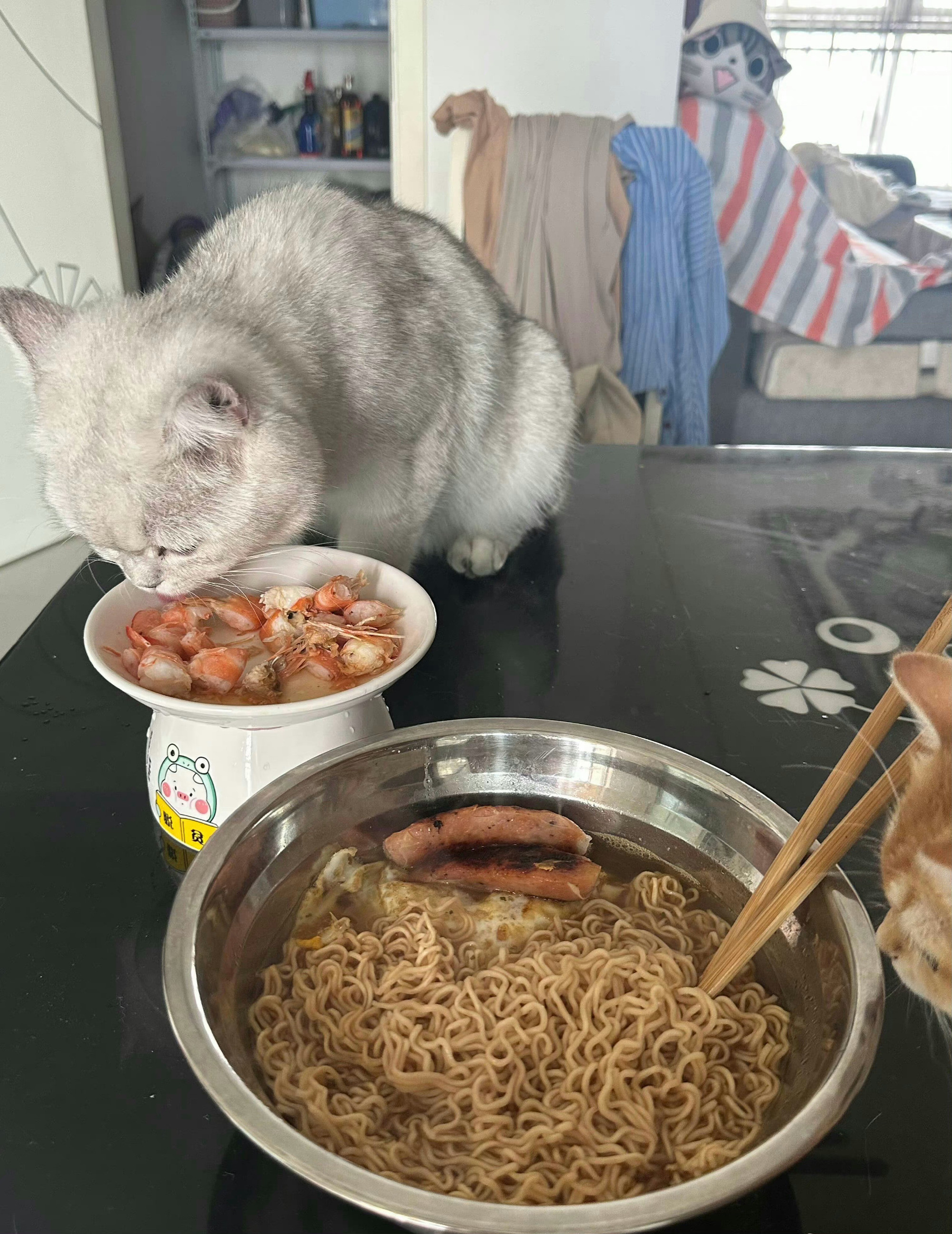 家里没钱了非要吵着吃虾​​​