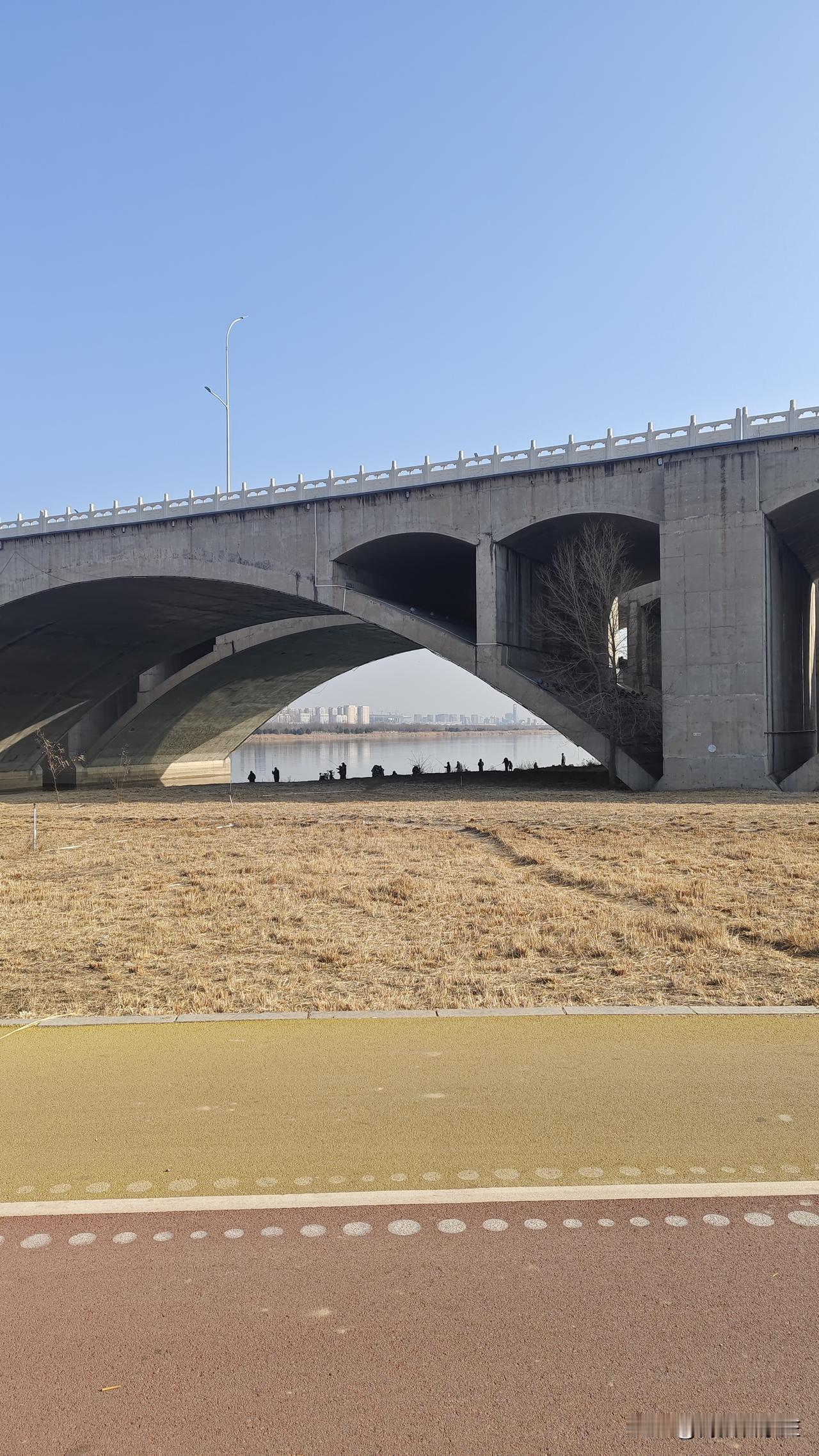 石家庄新城大桥下面，钓鱼爱好者太多了！这里过去有养殖区，后来撤了。其实这里的