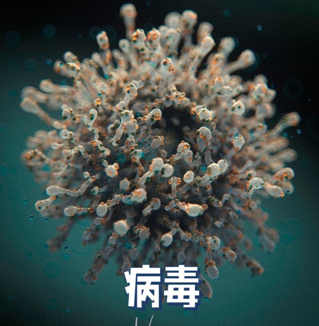 世界上最厉害的几种病毒:1. 埃博拉病毒：通过接触被感染者或被感染动物的血液