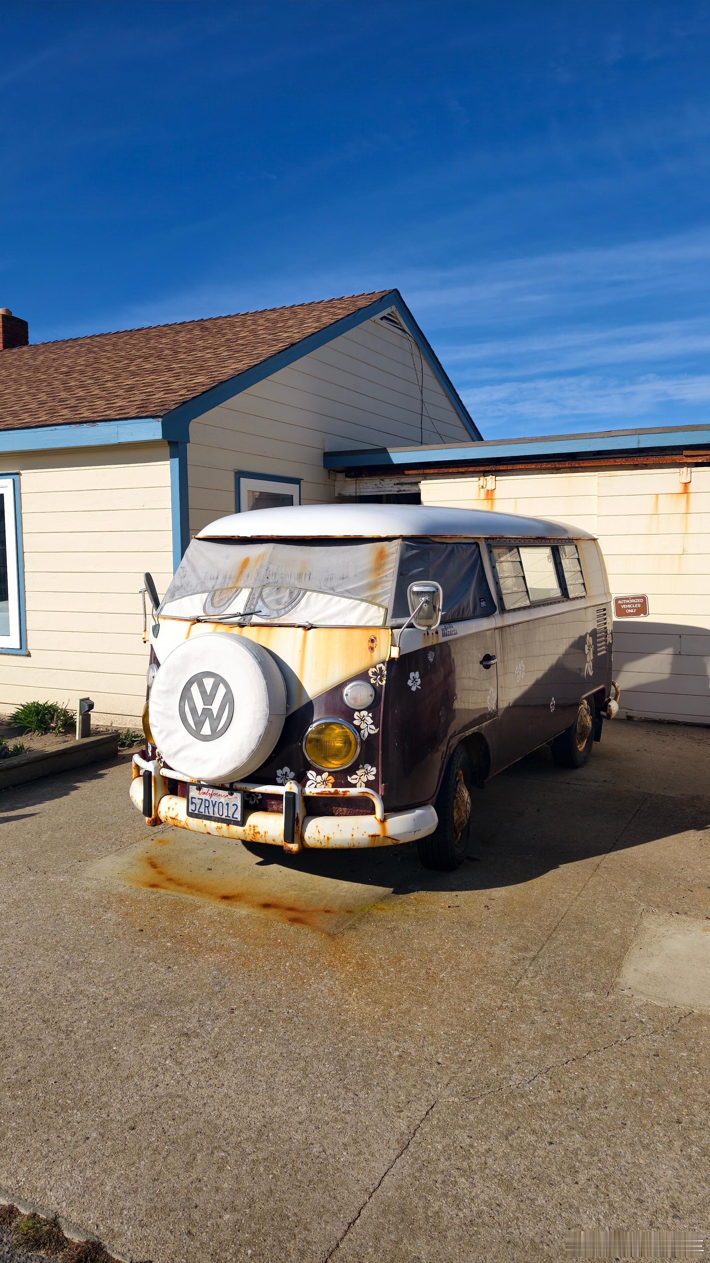 车主一定是大众铁杆粉丝