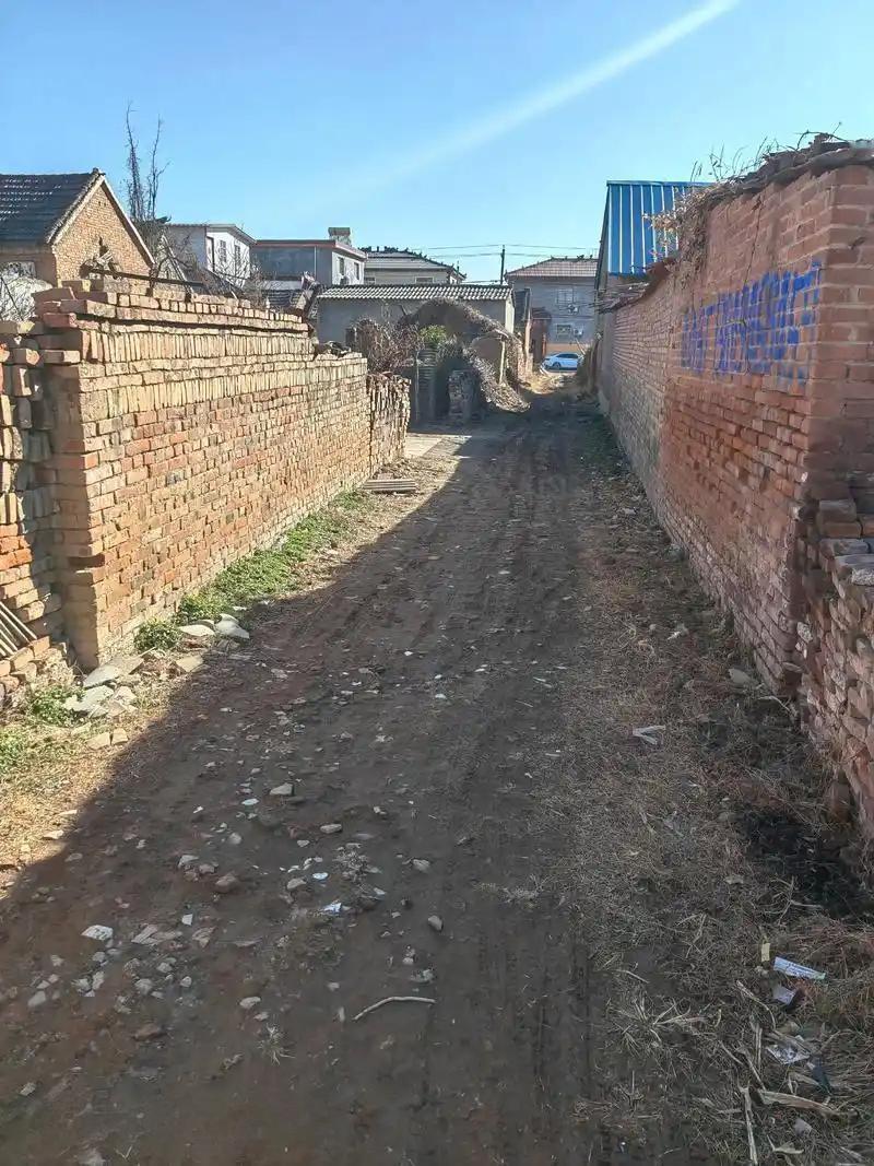 我们村有一个光棍，45岁了，人挺憨厚老实，平时也比较热心肠，村里哪家有困难，也乐