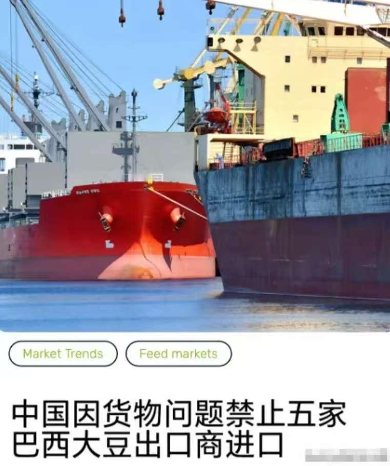 真是扶不起的阿斗！与美国同样卖大豆给中国的巴西，现在应该醒目一点才是，但是据路透