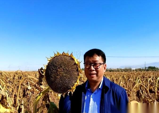 一个搞了一辈子桥梁、混凝土的力学教授，突然跑到沙漠里，指着漫天黄沙说：你们都搞错